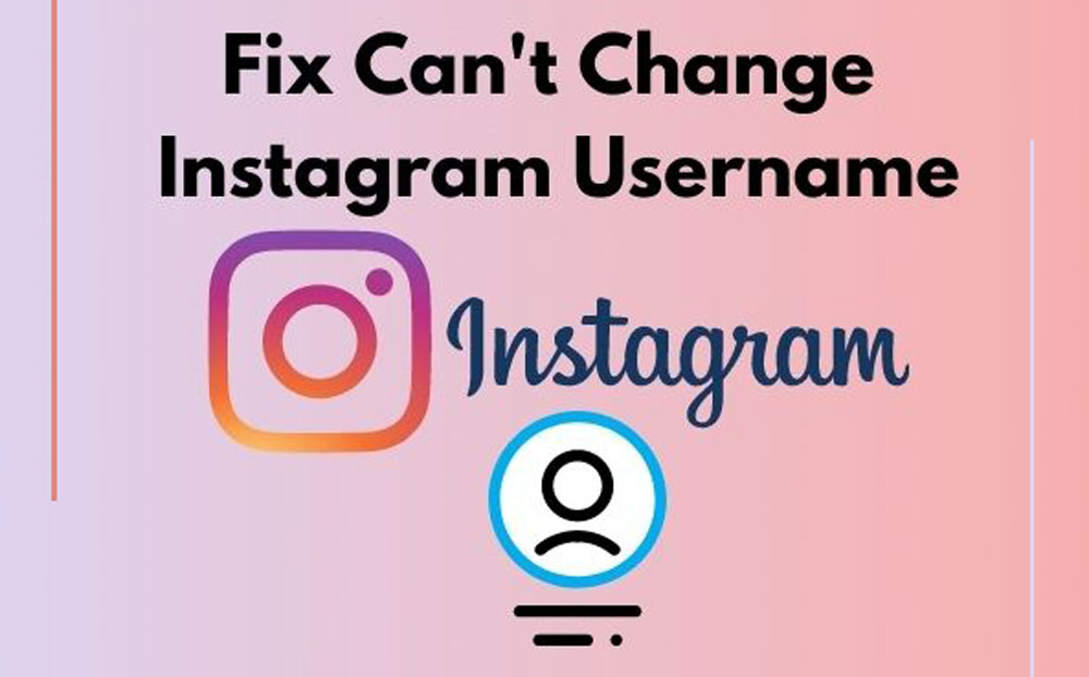 Recent Username Change Limits